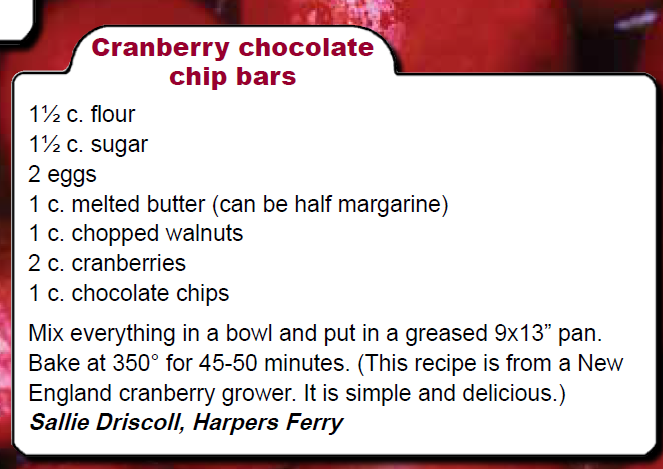 Cranberry Chocolate Chip Bars
