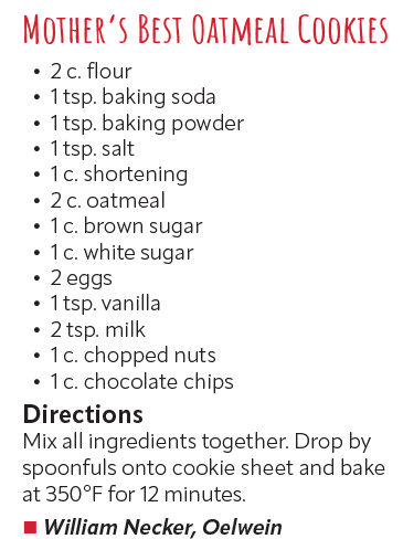 Mother's Best Oatmeal Cookies