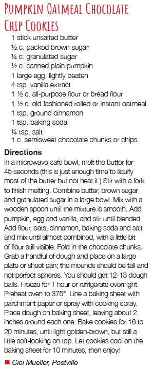 Pumpkin Oatmeal Chocolate Chip Cookies