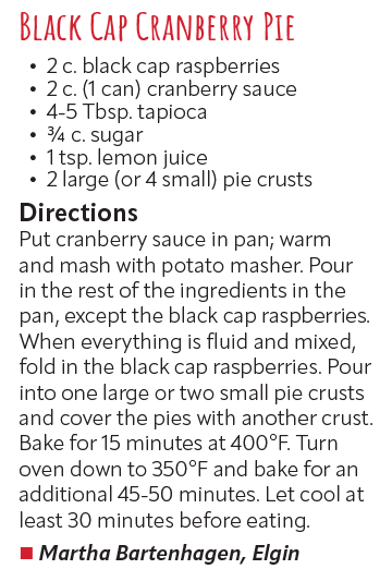 Black Cap Cranberry Pie