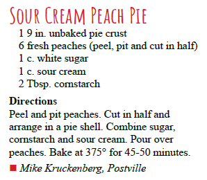 Sour Cream Peach Pie