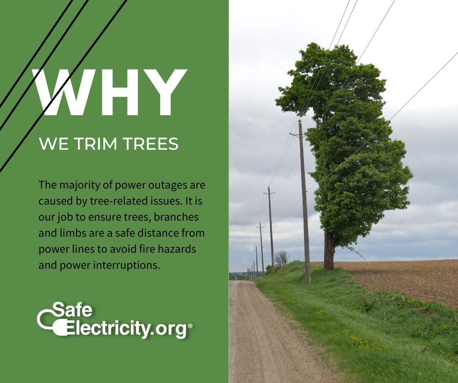 Why We Trim Trees